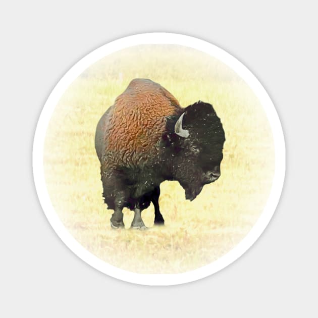 Bison Magnet by Guardi